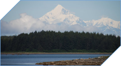 Yakutat Bay Lachs Heilbutt Angeln Fischen Yakutat Alaska